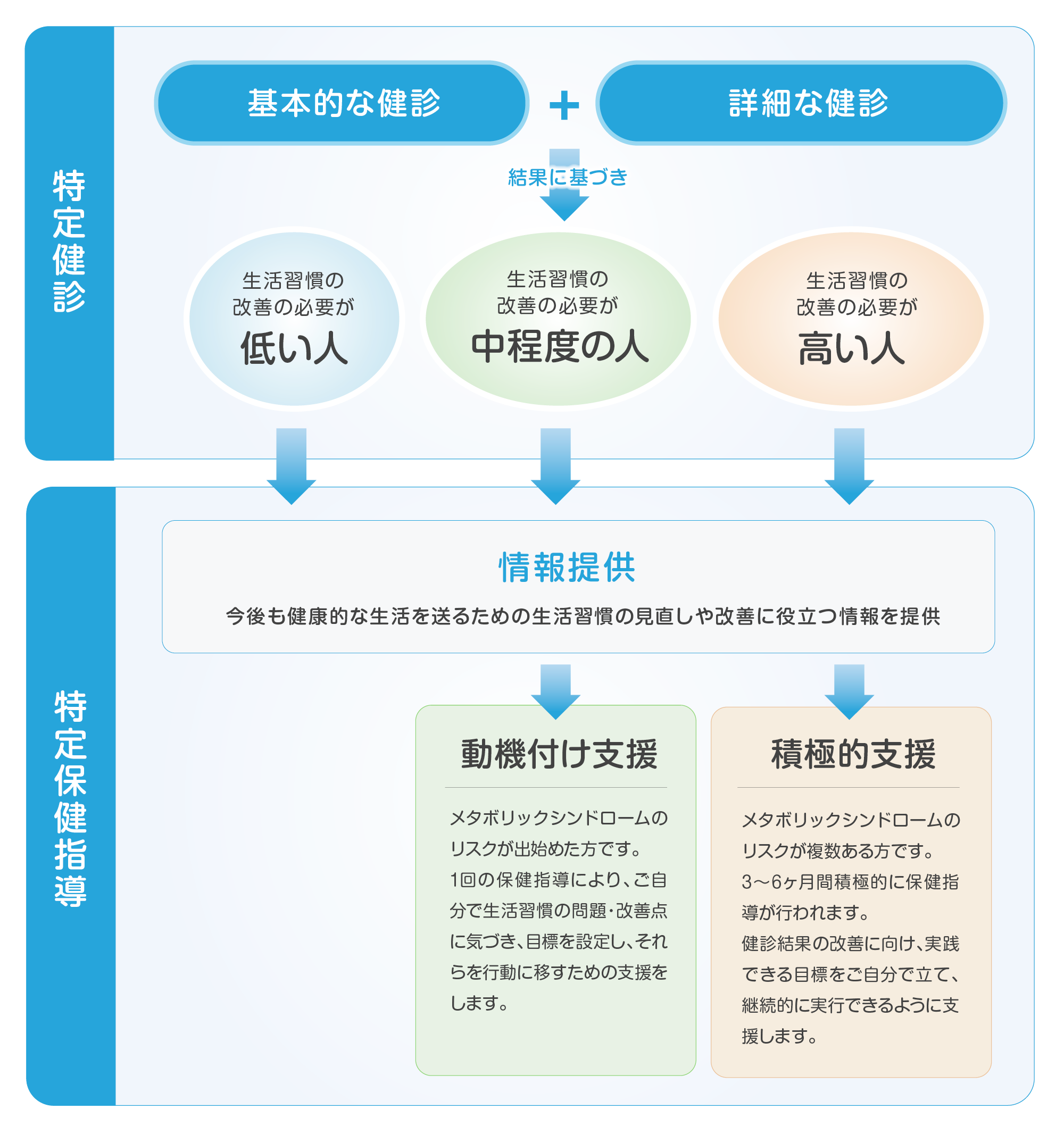 特定健診・特定保健指導の流れ